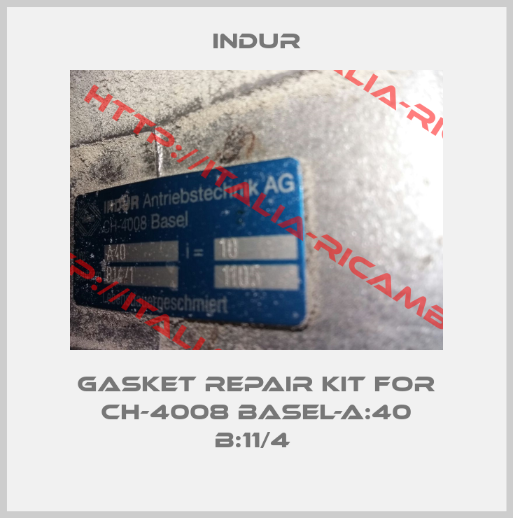 INDUR-Gasket repair kit for CH-4008 BASEL-A:40 B:11/4 