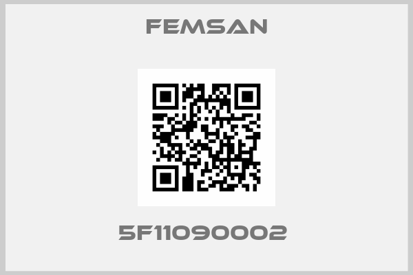 FEMSAN-5F11090002 