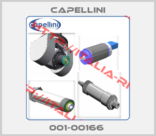 CAPELLINI-001-00166 