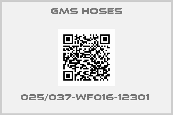 GMS hoses-025/037-WF016-12301 
