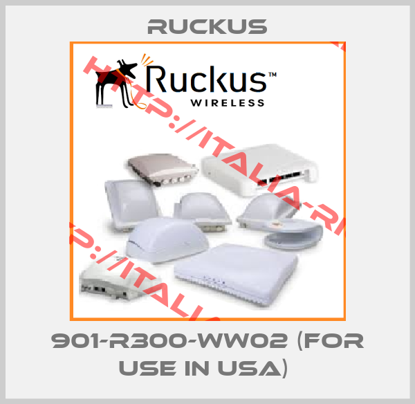 Ruckus-901-R300-WW02 (for use in USA) 