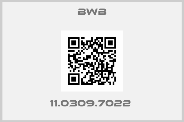 Bwb-11.0309.7022 