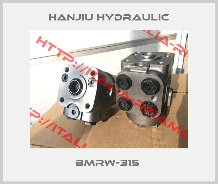 Hanjiu Hydraulic-BMRW-315 