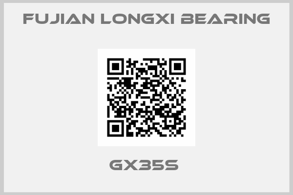 Fujian Longxi Bearing-GX35S 