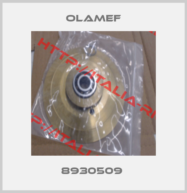 olamef-8930509 