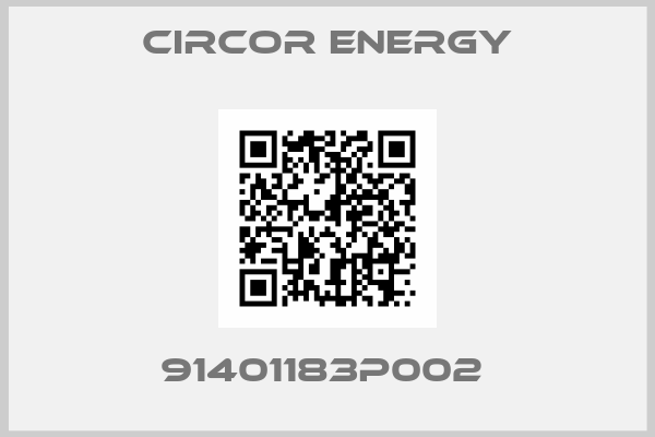 Circor Energy-91401183P002 