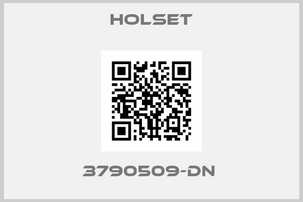 Holset-3790509-DN 