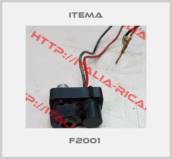 ITEMA-F2001 