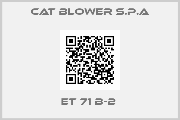 CAT BLOWER S.P.A-ET 71 B-2 
