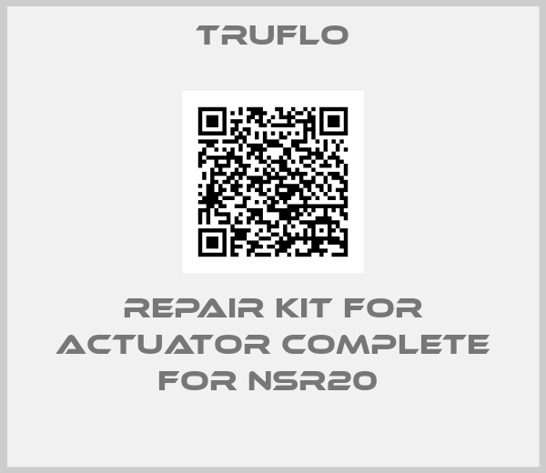 TRUFLO-Repair Kit For Actuator Complete For NSR20 