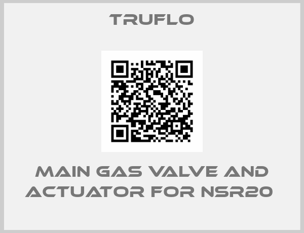 TRUFLO-Main Gas Valve and Actuator For NSR20 