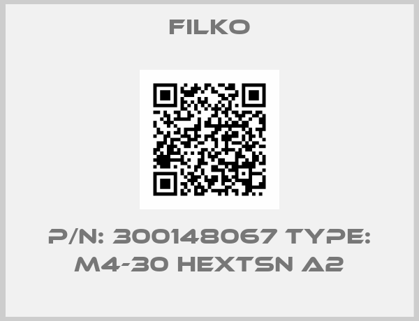 Filko-P/N: 300148067 Type: M4-30 HEXTSN A2