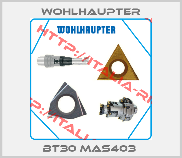 Wohlhaupter-BT30 MAS403 