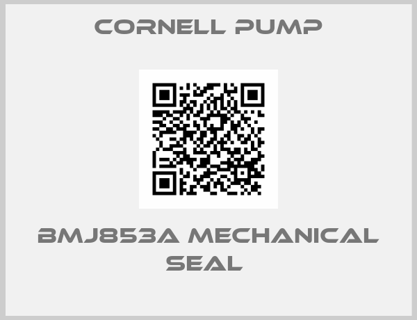 Cornell Pump-BMJ853A MECHANICAL SEAL 