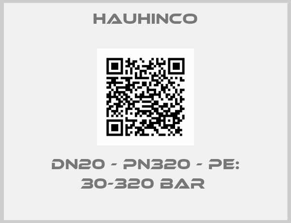 HAUHINCO-DN20 - PN320 - PE: 30-320 Bar 
