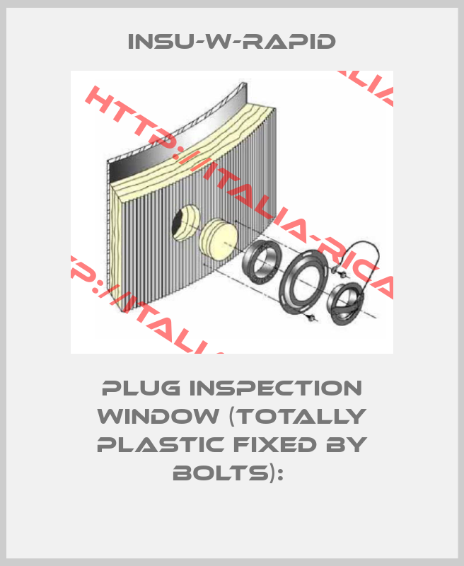 INSU-W-RAPID-Plug Inspection Window (totally plastic fixed by bolts): 