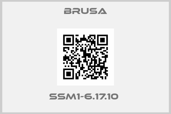 Brusa-SSM1-6.17.10 