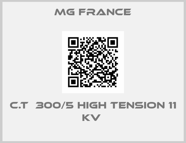 Mg France-C.T  300/5 HIGH TENSION 11 KV 