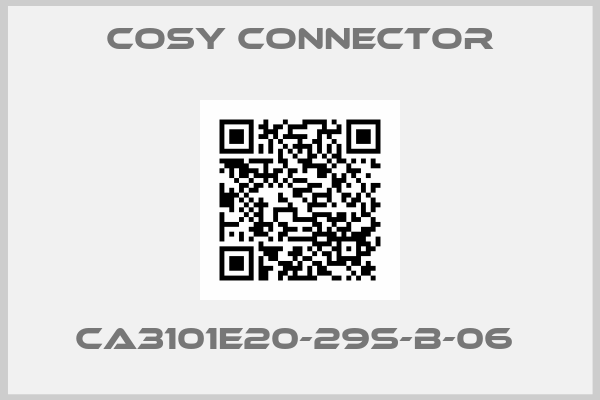 Cosy Connector-CA3101E20-29S-B-06 
