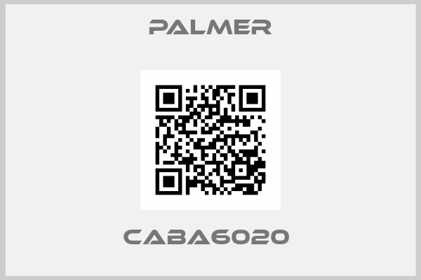 Palmer-CABA6020 
