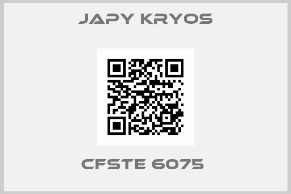 Japy Kryos-CFSTE 6075 