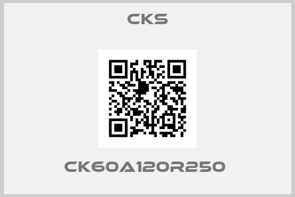 Cks-CK60A120R250 