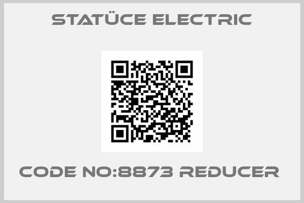 Statüce Electric-CODE NO:8873 REDUCER 