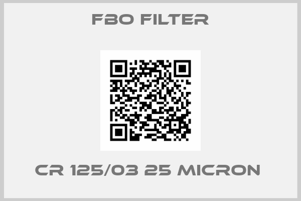 FBO Filter-CR 125/03 25 MICRON 