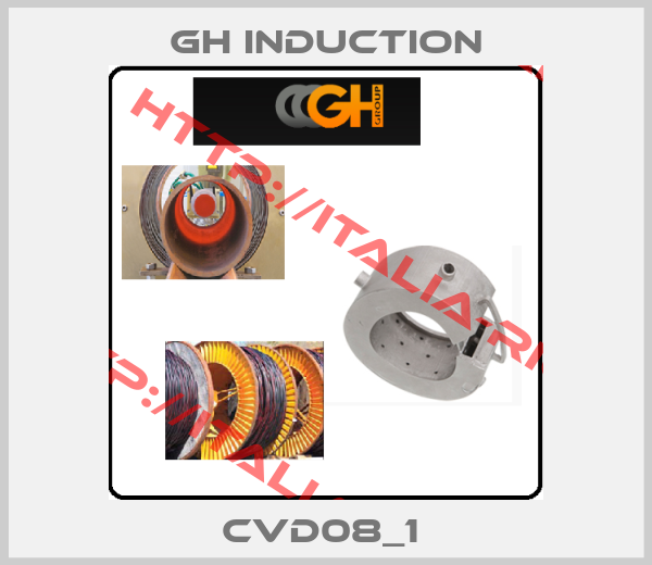 Gh Induction-CVD08_1 