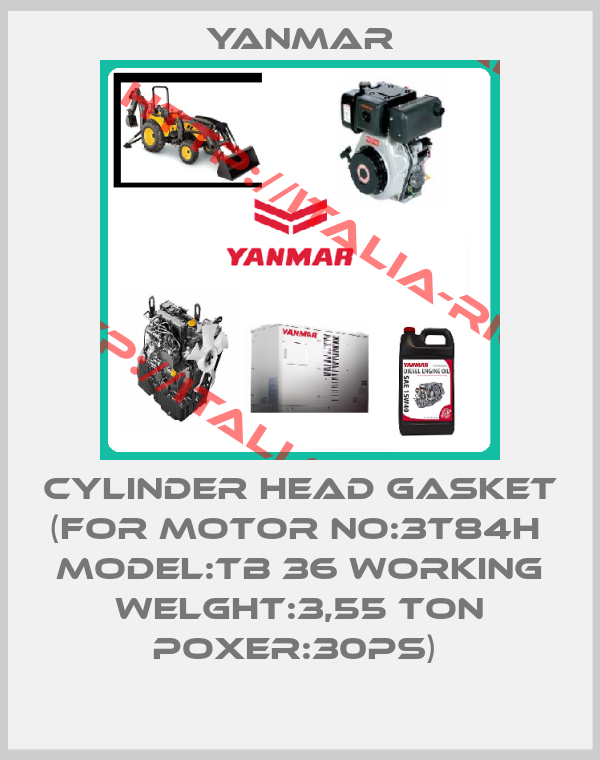 Yanmar-CYLINDER HEAD GASKET (FOR MOTOR NO:3T84H  MODEL:TB 36 WORKING WELGHT:3,55 TON POXER:30PS) 