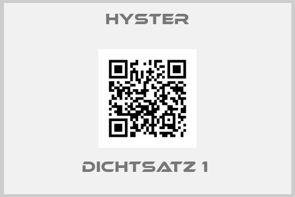 Hyster-DICHTSATZ 1 