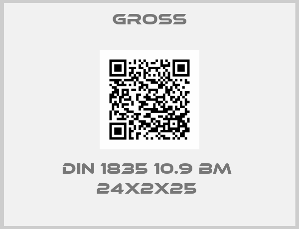 GROSS-DIN 1835 10.9 BM  24X2X25 