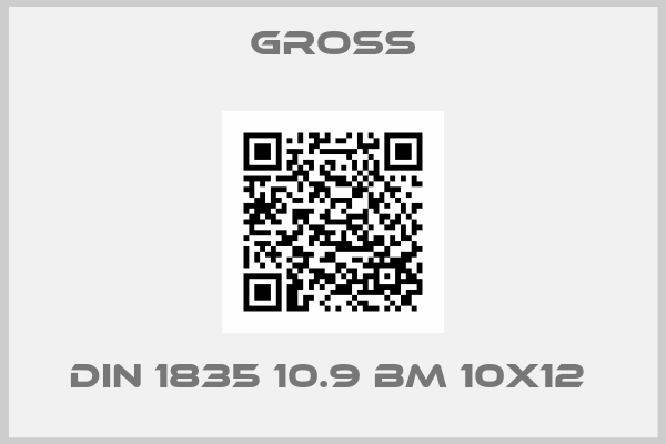 GROSS-DIN 1835 10.9 BM 10X12 