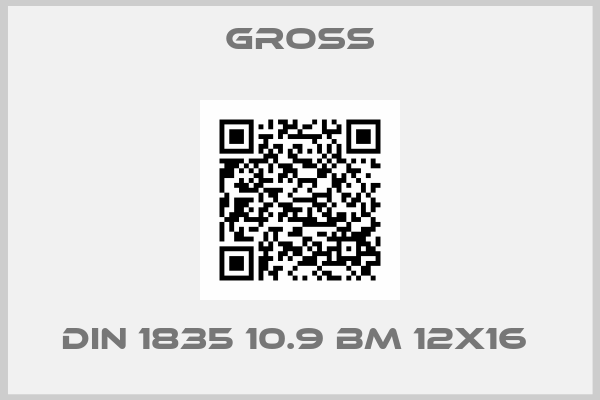 GROSS-DIN 1835 10.9 BM 12X16 