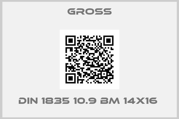 GROSS-DIN 1835 10.9 BM 14X16 