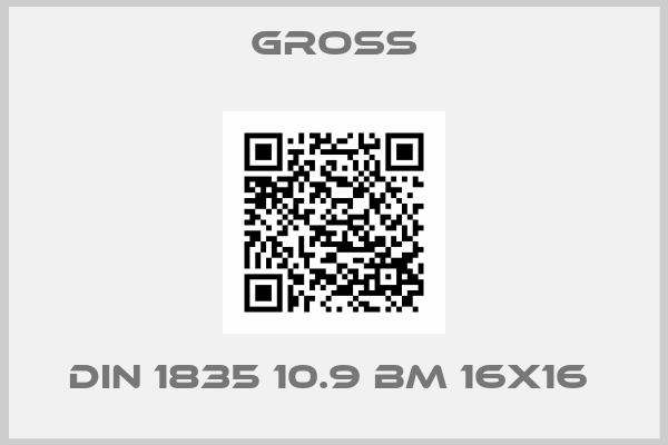 GROSS-DIN 1835 10.9 BM 16X16 