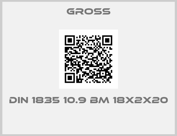 GROSS-DIN 1835 10.9 BM 18X2X20 