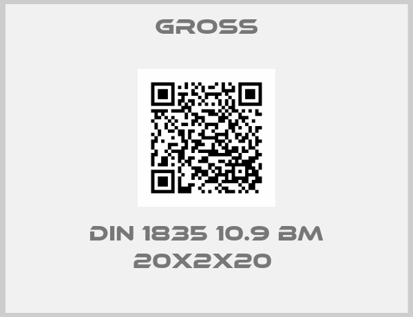 GROSS-DIN 1835 10.9 BM 20X2X20 