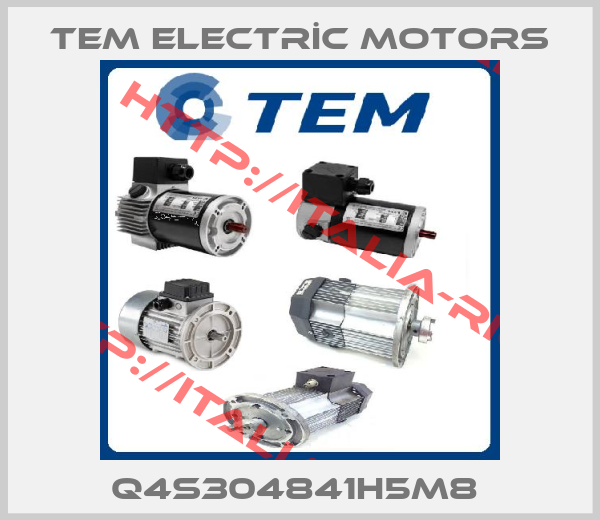 TEM ELECTRİC MOTORS-Q4S304841H5M8 