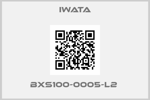 Iwata-BXS100-0005-L2 