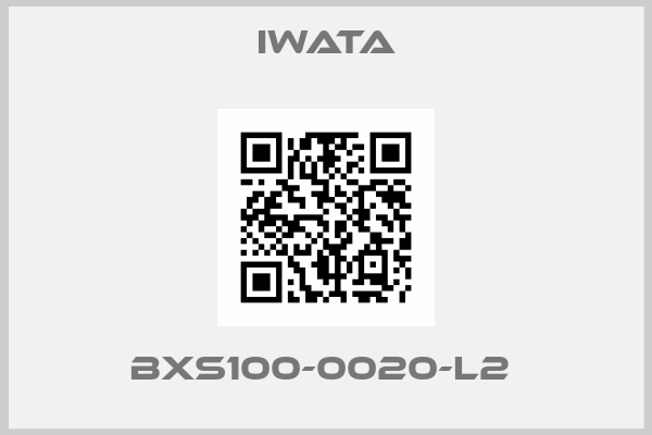 Iwata-BXS100-0020-L2 