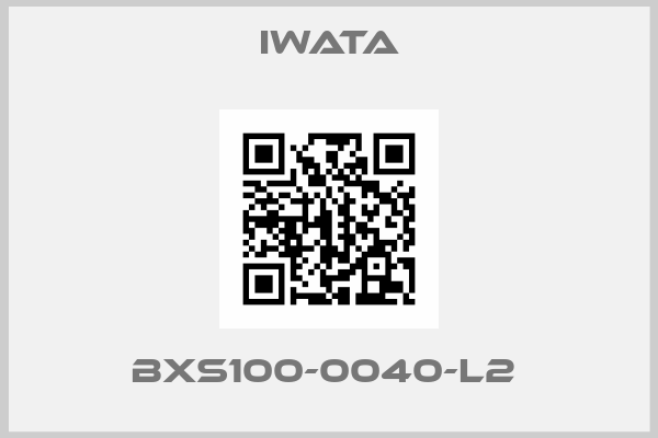 Iwata-BXS100-0040-L2 