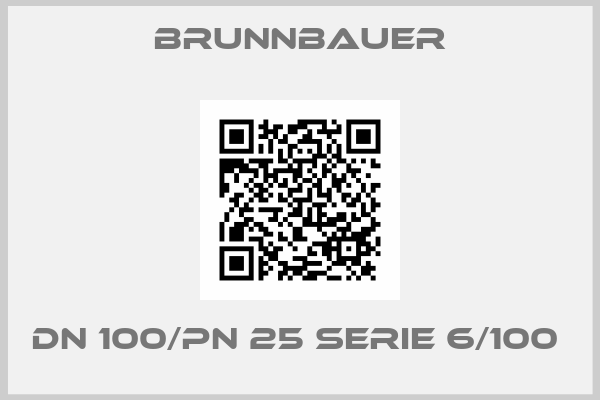 Brunnbauer-DN 100/PN 25 SERIE 6/100 