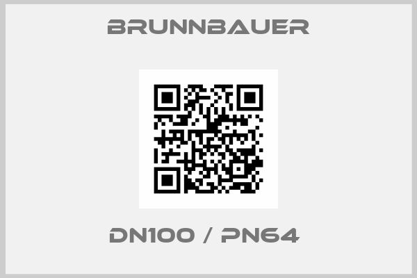 Brunnbauer-DN100 / PN64 