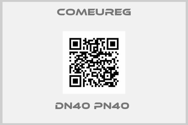 Comeureg-DN40 PN40 