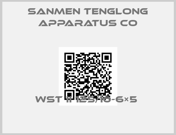 SANMEN TENGLONG APPARATUS CO-WST II 125/10-6×5 