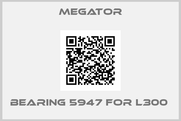 MEGATOR-Bearing 5947 for L300 