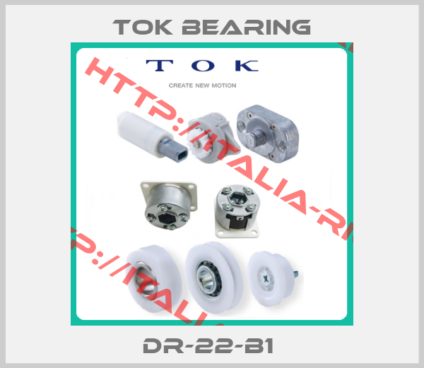 TOK BEARING-DR-22-B1 