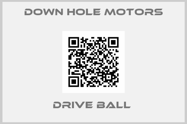 Down Hole Motors-DRIVE BALL 