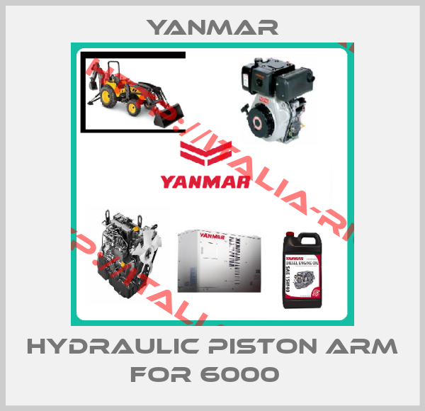 Yanmar-Hydraulic piston arm for 6000  